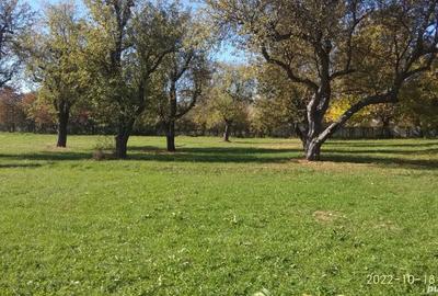 Teren de 9081 mp, în Crăcăoani - 2