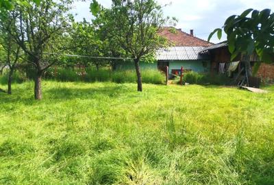 Casă cu 4 camere cu Teren 1300 Mp în Baia de Fier - 3