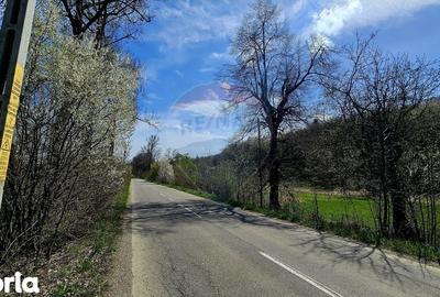 Teren de 10000 mp, în Vânători-Neamț - 6