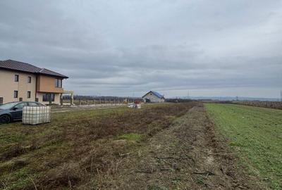 Teren de 5000 mp, în Recea - 1