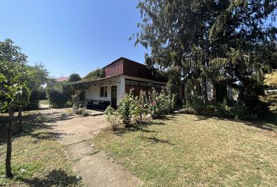 Casă individuală cu 4 camere cu Teren 4379 Mp în Giubega - 17