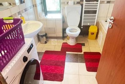 Moara de Vant, 2 camere mobilat si utilat, ready to move - 10