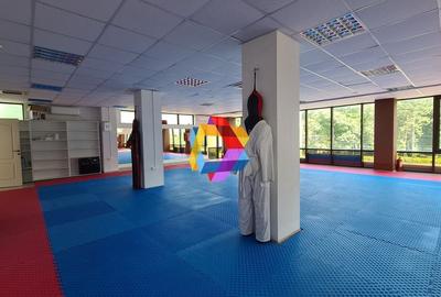 Cladire mixta - cu chiriasi- 1053 mp #plus-imo.ro - 2