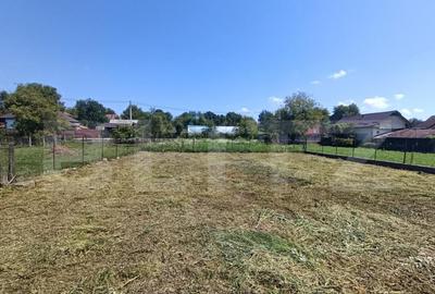 Casa cu 3 camere ?i o bucatarie de vara ?i 1300 mp teren Casa cu 3 camere ?i o bucatarie de vara ?i 1300 mp teren - 8