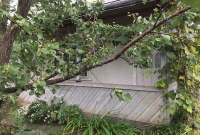 Casă cu 4 camere în Dorobanți - 2