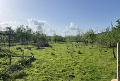 Casă cu 3 camere în Vărzari - 2