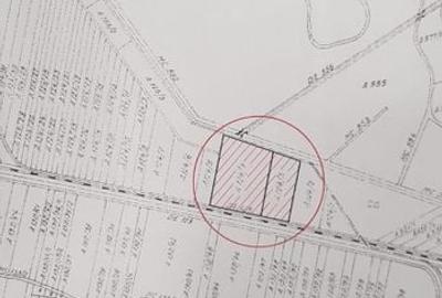 Mosnita Noua Teren 10.000mp | Front 63m | La asfalt - Zona de Case - 7