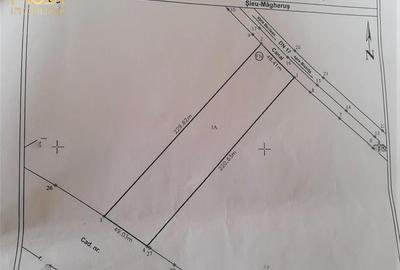 Teren Intravilan Sieu Magherus DN 17 Bistrita-Cluj - 6