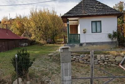 Casă cu 2 camere în Central - 3
