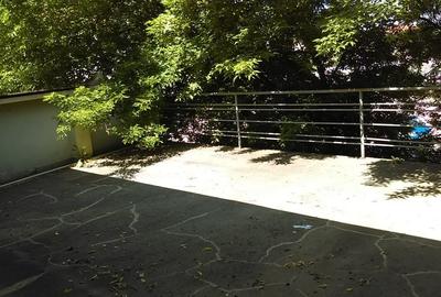 Spațiu comercial, 735 mp în Ultracentral