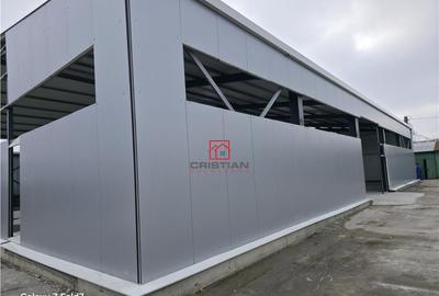 Depozit/hala/spatiu industrial Pantelimon - Comuna Pantelim - 5