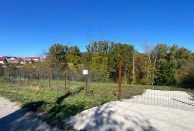 Teren de 969 mp, în Băbana - 3