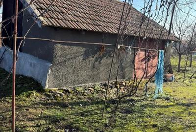 Casă cu 3 camere cu Teren 1792 Mp în Cioroboreni - 2