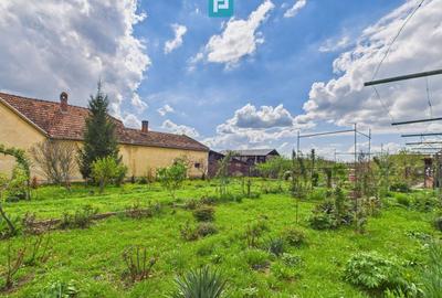 Teren 1300 mp, Beregsău Mare - 1