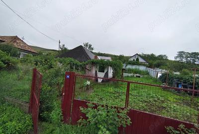 Vand casa - 4