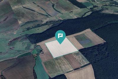 13ha de teren compact Ianova-Bencec - 2