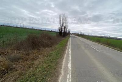 Teren de 60600 mp, în Berceni - 3