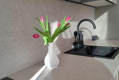 Perfect pentru investitie, Paltim, apartament  cu parcare - 5