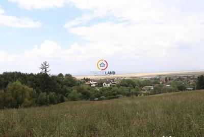 Teren de 1195 mp, în Poiana Angelescu - 1