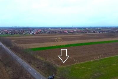 Teren în Medieșu Aurit - 3