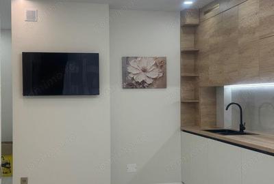 Garsoniera de inchiriat in zona Pantelimon - 3