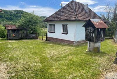 Casa de vanzare sat Ribi?a cu 50 de ari de teren - 5