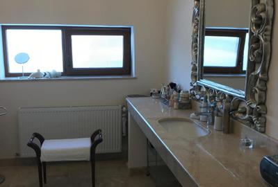 Property Iancu Nicolae 1000 - 32