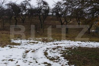 Teren de 1268 mp, în Mihai Viteazu - 5