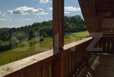 Cabana de vanzare in Stramba - 22