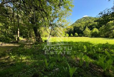 Teren Construcții extravilan de 1300 mp, în Groș - 7