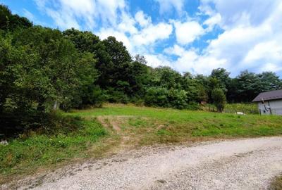 Teren de 2100 mp, în Drăganu - 4