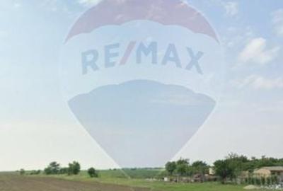 Teren Draganeasca-Ulmi / DJ 404 Jud Giurgiu - 6