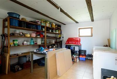 Resedinta cu:foisor,2 garaje, crama tip restaurant+garsoniera lux ... - 45