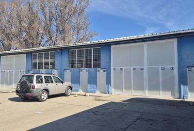 HALA | HALTA TRAIAN | SERVICE | DEPOZITARE - 1