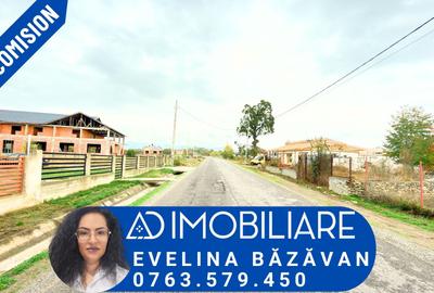 Teren Construcții intravilan de 3695 mp, în Runcu - 1