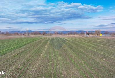 Spațiu comercial, în Lunca Calnicului - 2