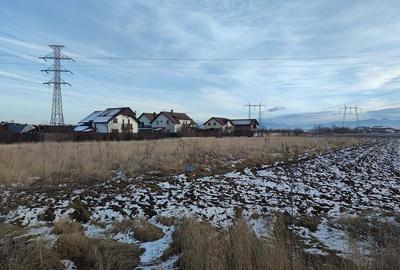 Teren intravilan Sanpetru, 3.900 mp, pentru servicii sau comert. - 2