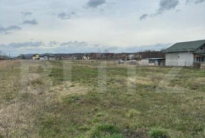 Teren intravilan cu toate utilitatile disponibile Dragomires - 3