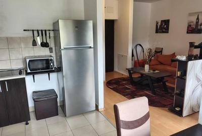 Garsoniera cu priveliste spre Lacul Noua, Brasov - 4