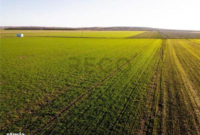 Spațiu comercial, în Biharia - 8