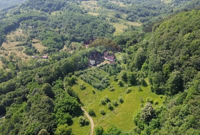 Casă cu 10 camere cu Teren 24700 Mp în Berchezoaia - 11