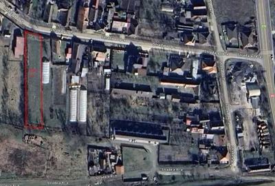 Teren de 1952 mp, în Șag