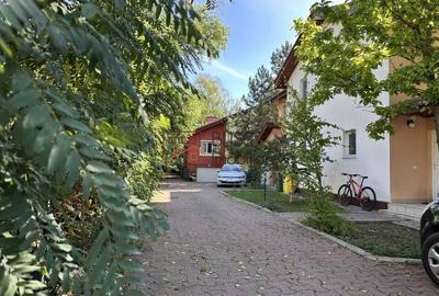 Casă cu 4 camere cu Teren 342 Mp în Iancu Nicolae - 8