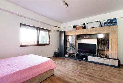 RECO APARTAMENT CU O CAMERA IN PALEU - 2