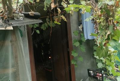 Schimb vand Casa Severin cu Simian Cerneti - 2