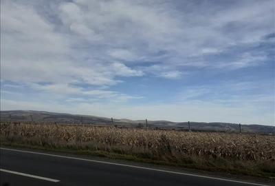 Vanzare teren intravilan, Feldioara, Brasov - 10