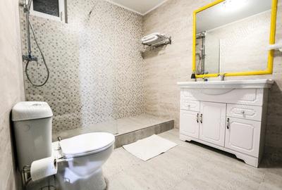 Spațiu comercial, de 220 mp, în Nord