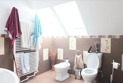 Vila individuala in Barnova 3 camere, 1000 mp teren, curte superba amenajata, ga - 19