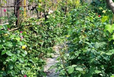 Casă individuală cu 3 camere cu Canalizare în Micro 5 - 18