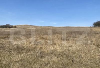 Teren de 140551 mp, în Recea - 11